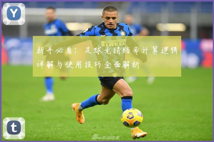 新手必看：足球竞猜赔率计算逻辑详解与使用技巧全面解析