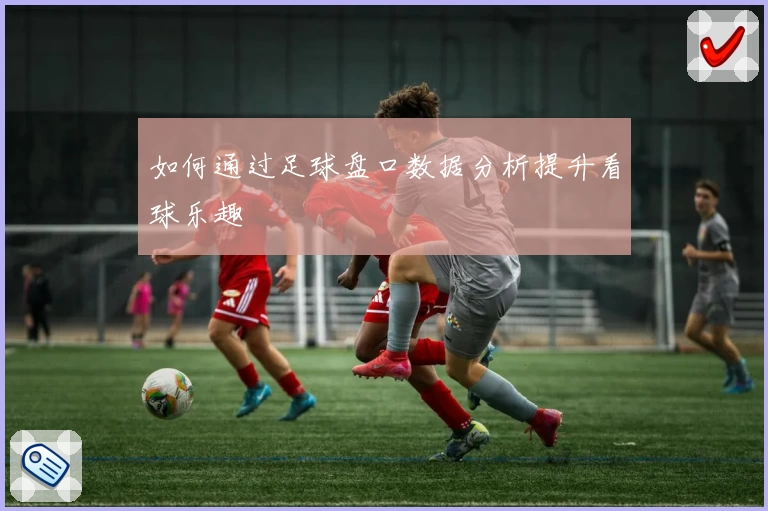 如何通过足球盘口数据分析提升看球乐趣